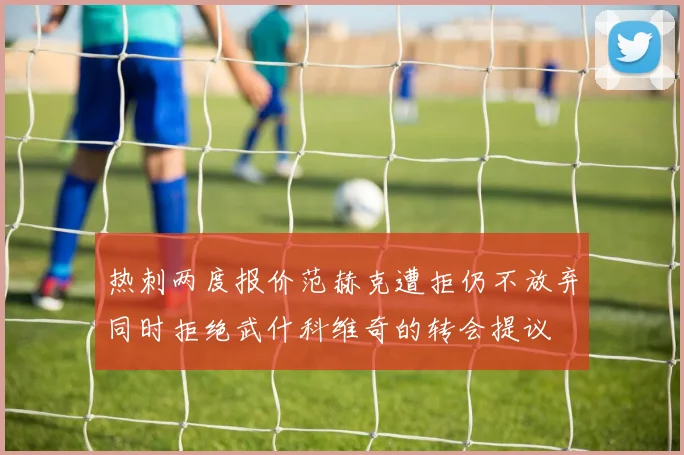 热刺两度报价范赫克遭拒仍不放弃同时拒绝武什科维奇的转会提议