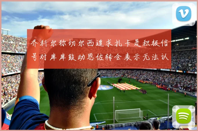 乔科尔称切尔西追求扎卡是积极信号对库库鼓动恩佐转会表示无法认同